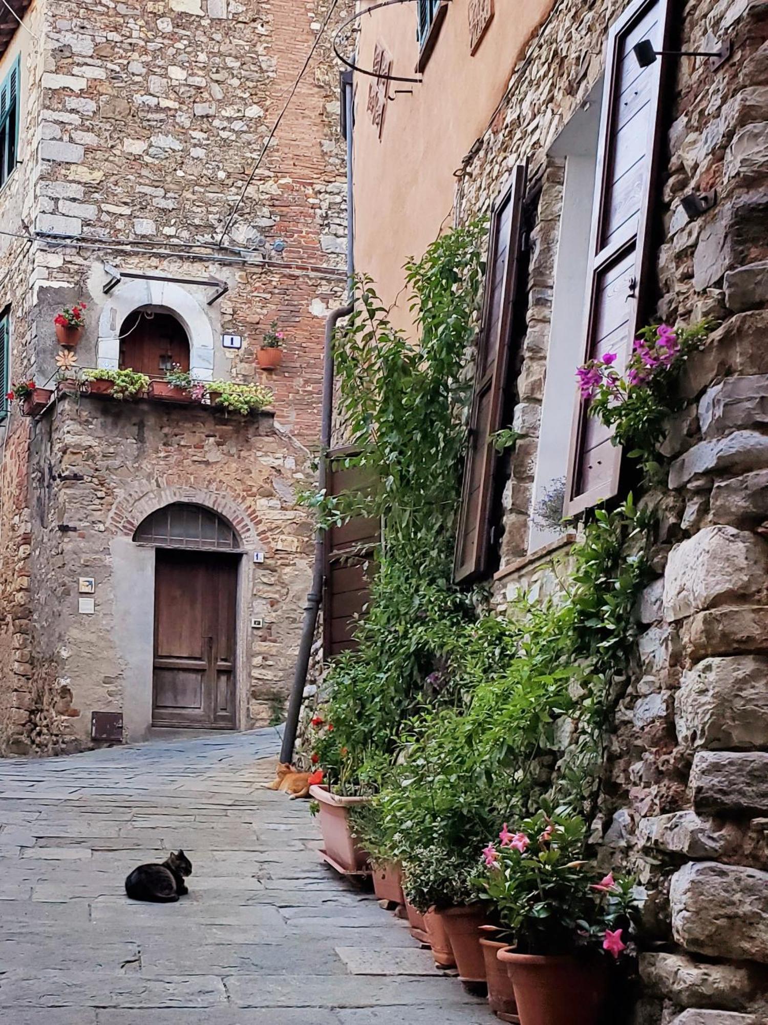 Casina Toscana, Cozy Studio In The Heart Of Campiglia Marittima With Free Wi-Fi Eksteriør billede